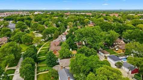 708 South Vine Avenue Park Ridge IL 60068