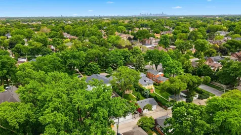 708 South Vine Avenue Park Ridge IL 60068