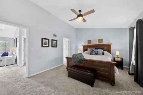 808 Castleton Court Mundelein IL 60060