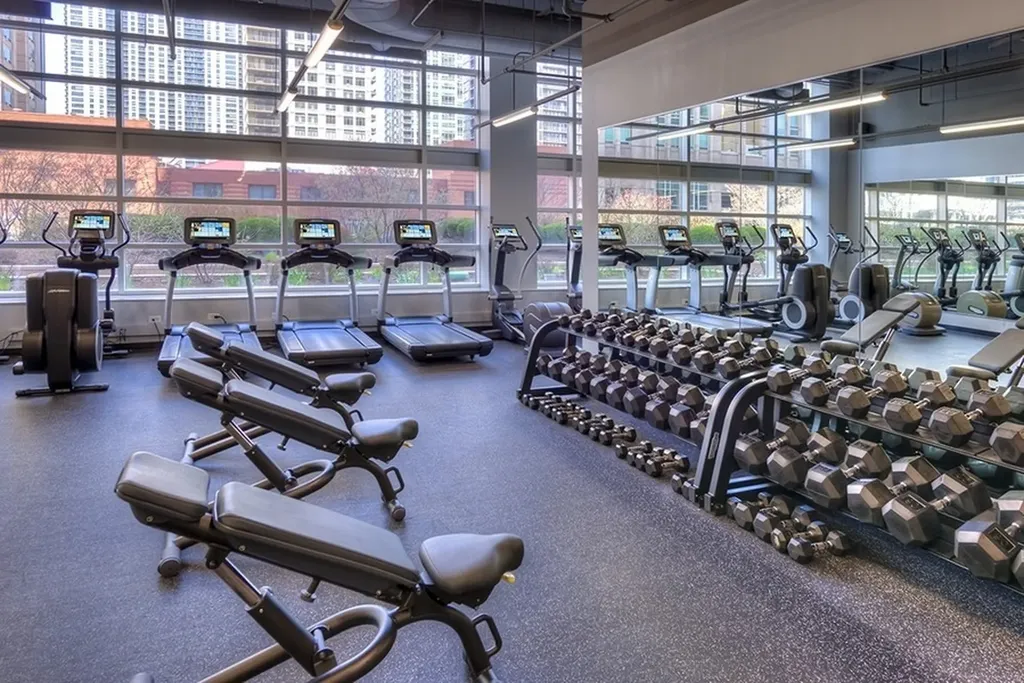 545 North Dearborn Street Chicago IL 60654