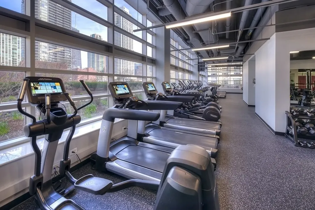 545 North Dearborn Street Chicago IL 60654