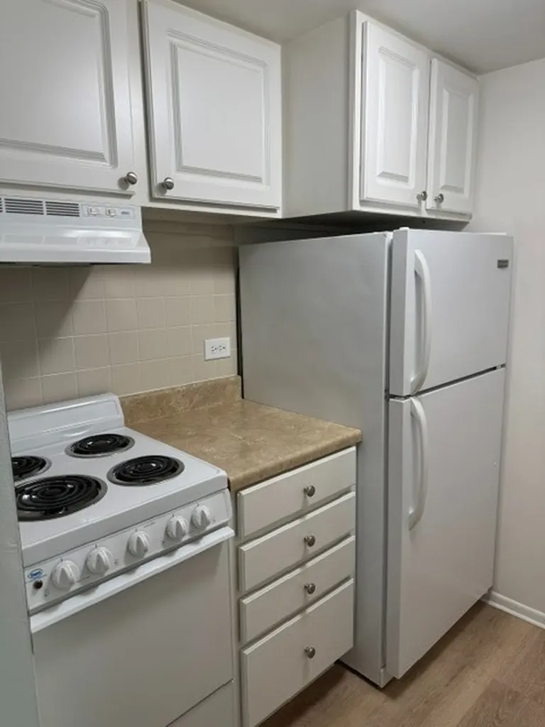 255 South West Avenue Elmhurst IL 60126