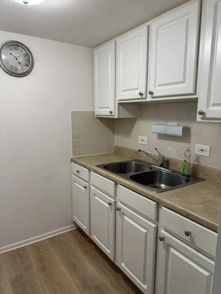 255 South West Avenue Elmhurst IL 60126