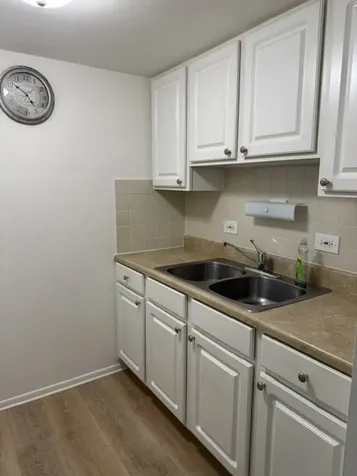 255 South West Avenue Elmhurst IL 60126