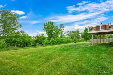 125 Stowe Court Volo IL 60020