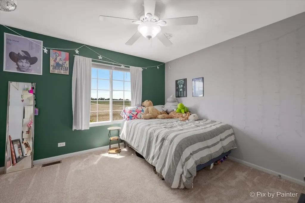 9145 Sawyer Street Huntley IL 60142