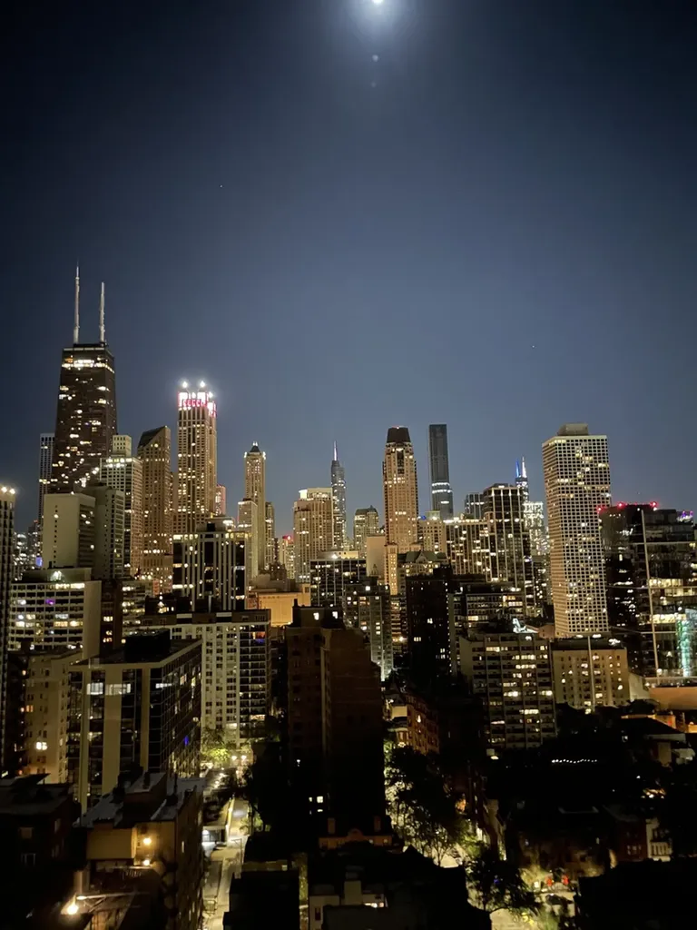 1310 North Ritchie Court Chicago IL 60610