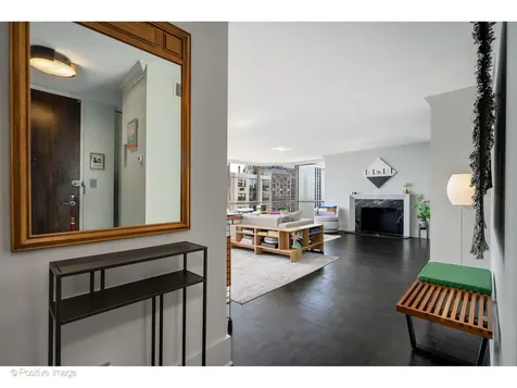 1310 North Ritchie Court Chicago IL 60610