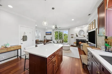 839 South Miller Street Chicago IL 60607