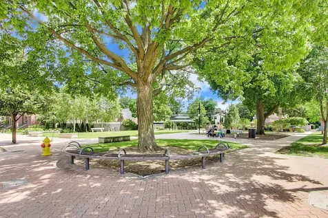 206 South Owen Street Mount Prospect IL 60056