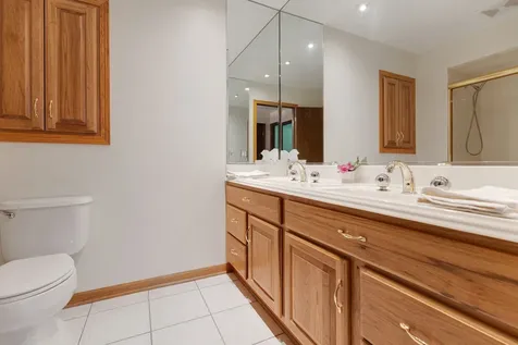 387 Woodlane Court Wood Dale IL 60191