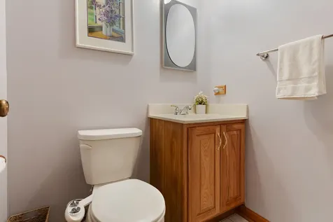 387 Woodlane Court Wood Dale IL 60191