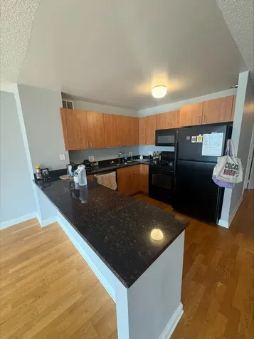 474 North Lake Shore Drive Chicago IL 60611