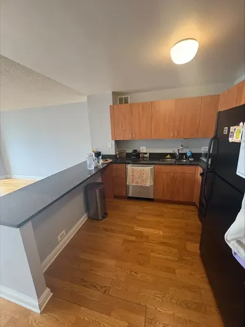 474 North Lake Shore Drive Chicago IL 60611