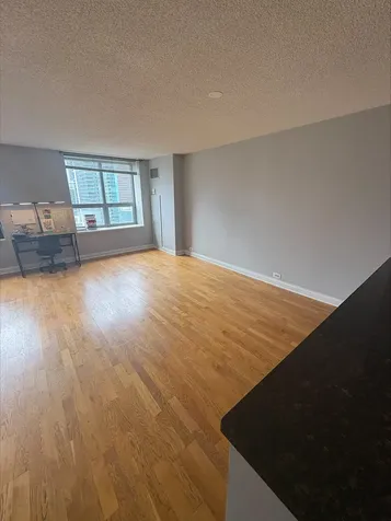 474 North Lake Shore Drive Chicago IL 60611