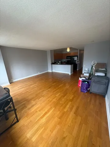 474 North Lake Shore Drive Chicago IL 60611