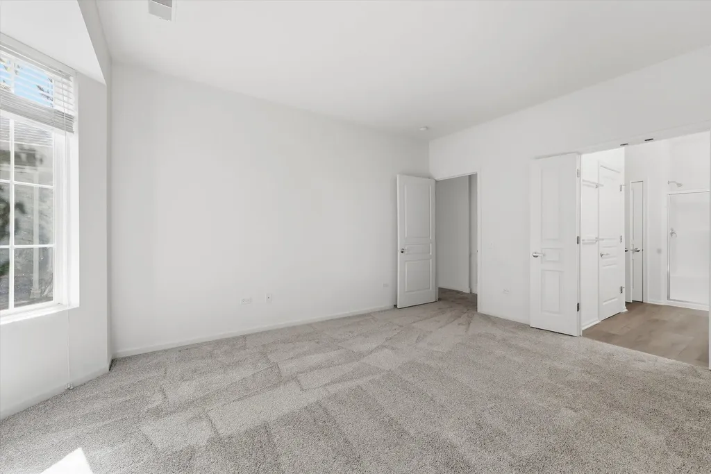 13732 Burham Street Huntley IL 60142