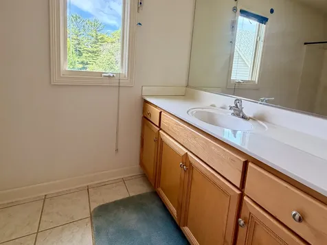 24409 West Park River Lane Shorewood IL 60404