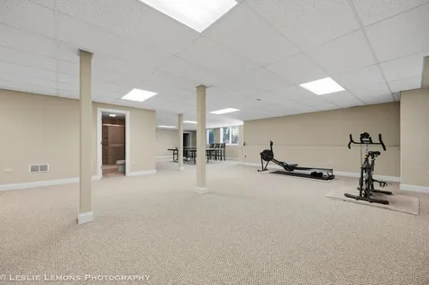 1411 Hatchwood Court Naperville IL 60565