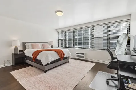 850 North Dewitt Place Chicago IL 60611