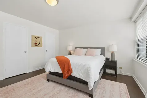 850 North Dewitt Place Chicago IL 60611