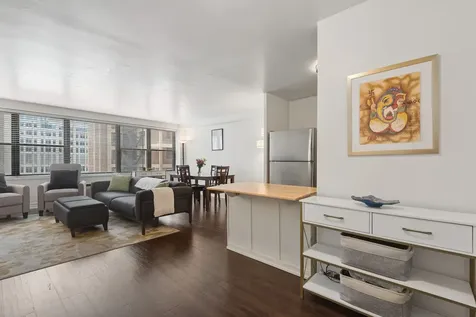 850 North Dewitt Place Chicago IL 60611