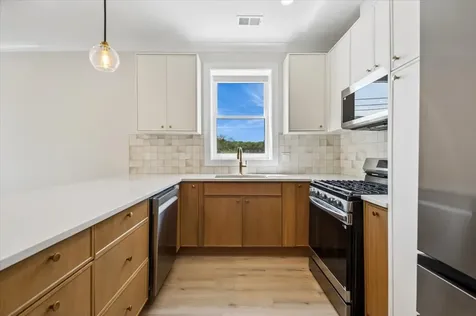 1542 West Rosemont Avenue Chicago IL 60660