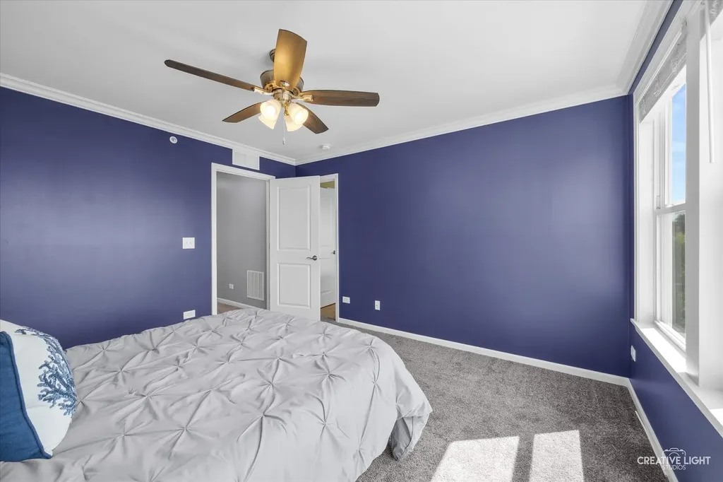 3547 Mulligan Drive Woodridge IL 60517