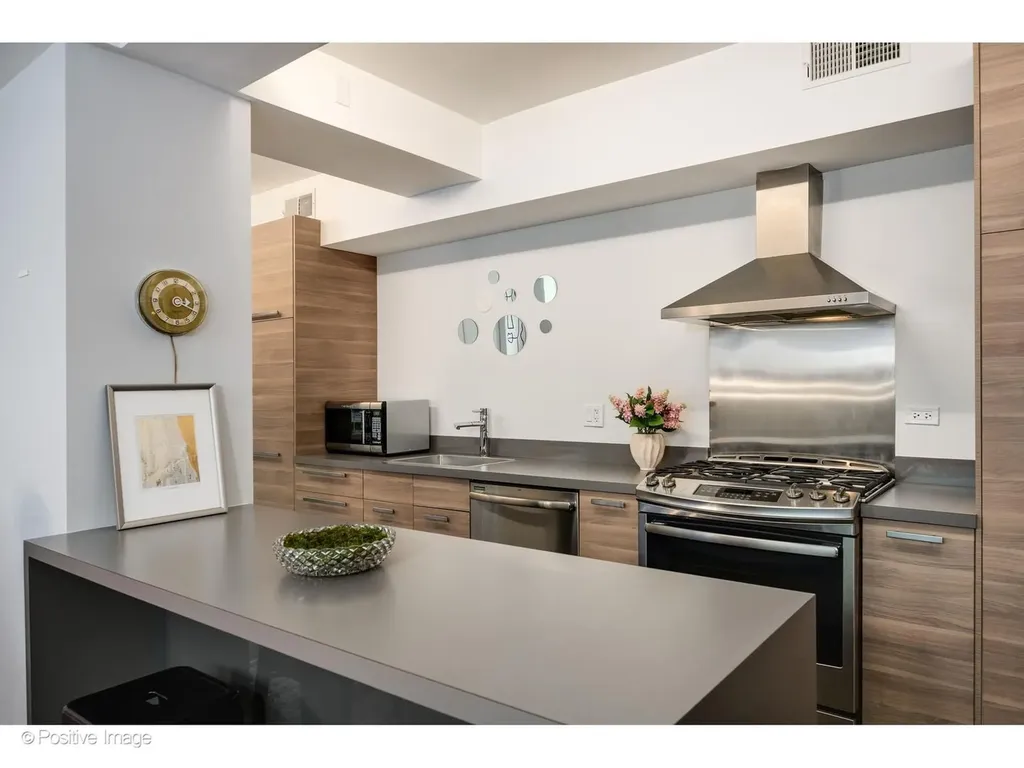 1019 North Wolcott Avenue Chicago IL 60622