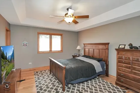 1541 Mallards Cove Beecher IL 60401
