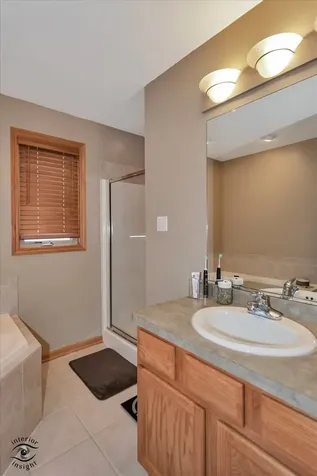 1541 Mallards Cove Beecher IL 60401