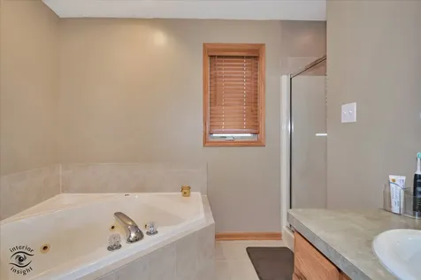 1541 Mallards Cove Beecher IL 60401