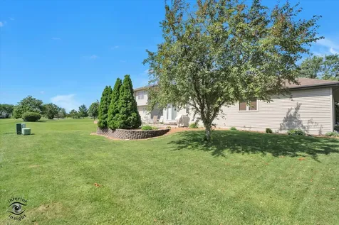 1541 Mallards Cove Beecher IL 60401