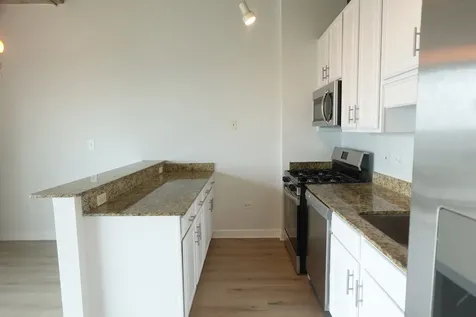 1550 South Blue Island Avenue Chicago IL 60608