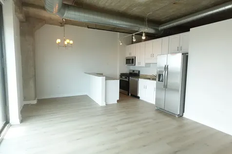 1550 South Blue Island Avenue Chicago IL 60608