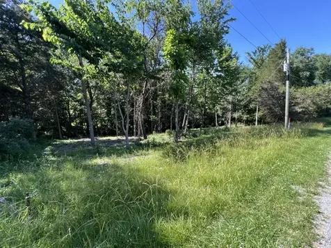 Lot 1309 and 1310 Lakeshore Dr South Goreville IL 62959