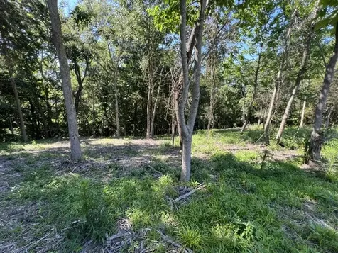 Lot 1309 and 1310 Lakeshore Dr South Goreville IL 62959