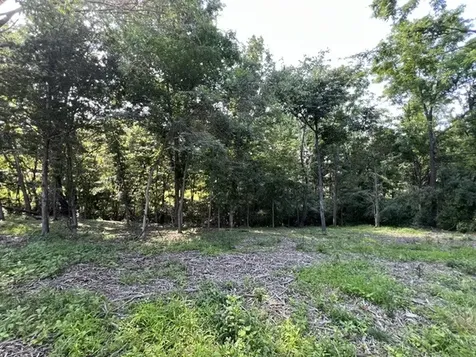 Lot 1309 and 1310 Lakeshore Dr South Goreville IL 62959
