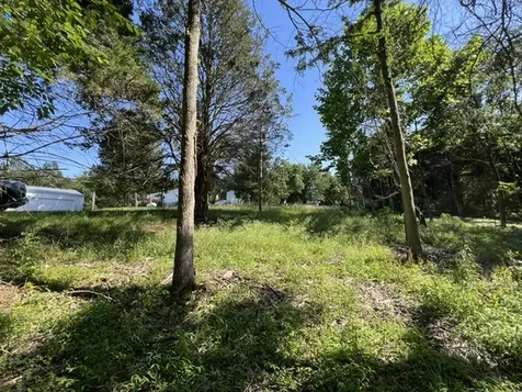 Lot 1309 and 1310 Lakeshore Dr South Goreville IL 62959