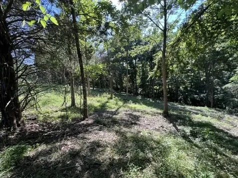 Lot 1309 and 1310 Lakeshore Dr South Goreville IL 62959