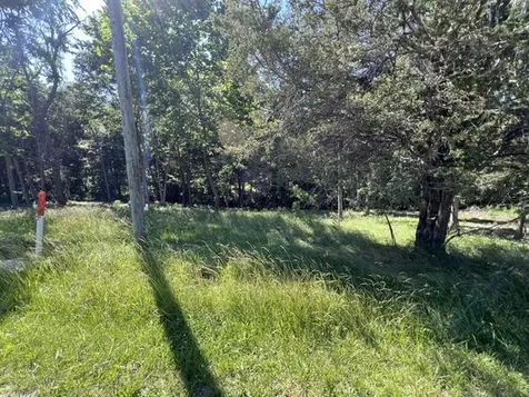 Lot 1309 and 1310 Lakeshore Dr South Goreville IL 62959