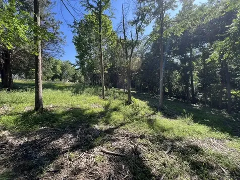 Lot 1309 and 1310 Lakeshore Dr South Goreville IL 62959