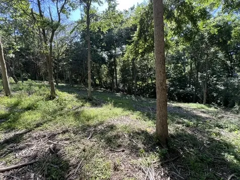 Lot 1309 and 1310 Lakeshore Dr South Goreville IL 62959