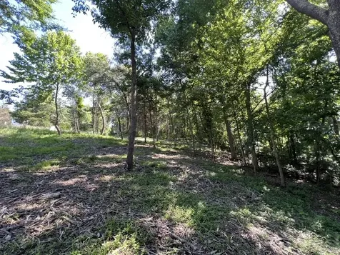Lot 1309 and 1310 Lakeshore Dr South Goreville IL 62959