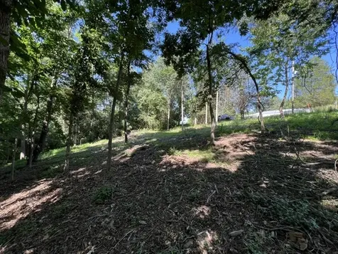 Lot 1309 and 1310 Lakeshore Dr South Goreville IL 62959
