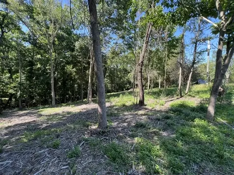 Lot 1309 and 1310 Lakeshore Dr South Goreville IL 62959