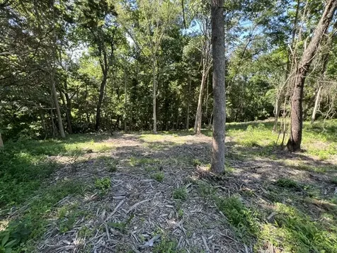 Lot 1309 and 1310 Lakeshore Dr South Goreville IL 62959