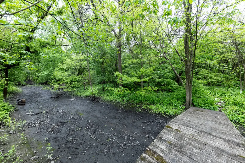 5419 Grand Avenue Downers Grove IL 60515