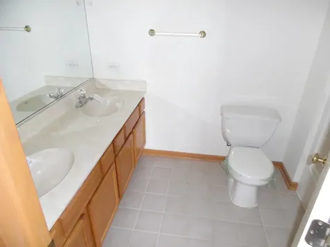 4613 Lindenwood Court Matteson IL 60443