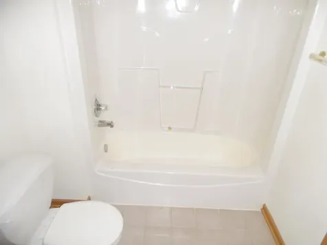 4613 Lindenwood Court Matteson IL 60443